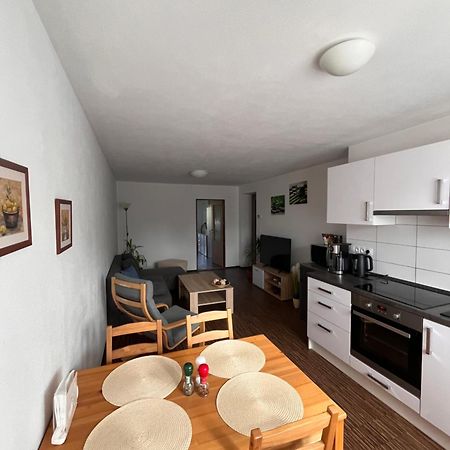 Apartman Sadova 430 Chodová Planá Εξωτερικό φωτογραφία